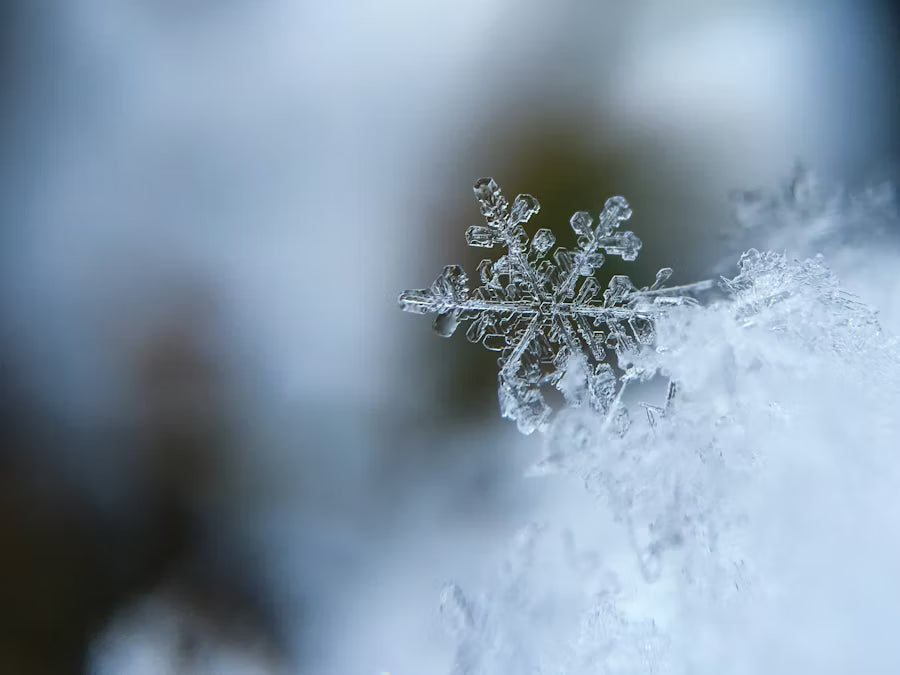 Seasonal